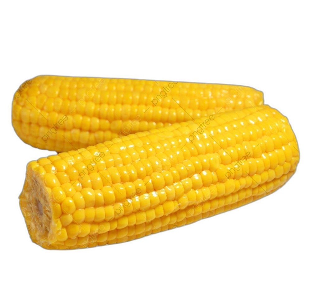 Organic Yellow Corn, For Eating