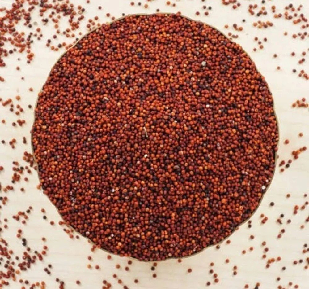 Organic Ragi Seeds, For Food, High in Protein