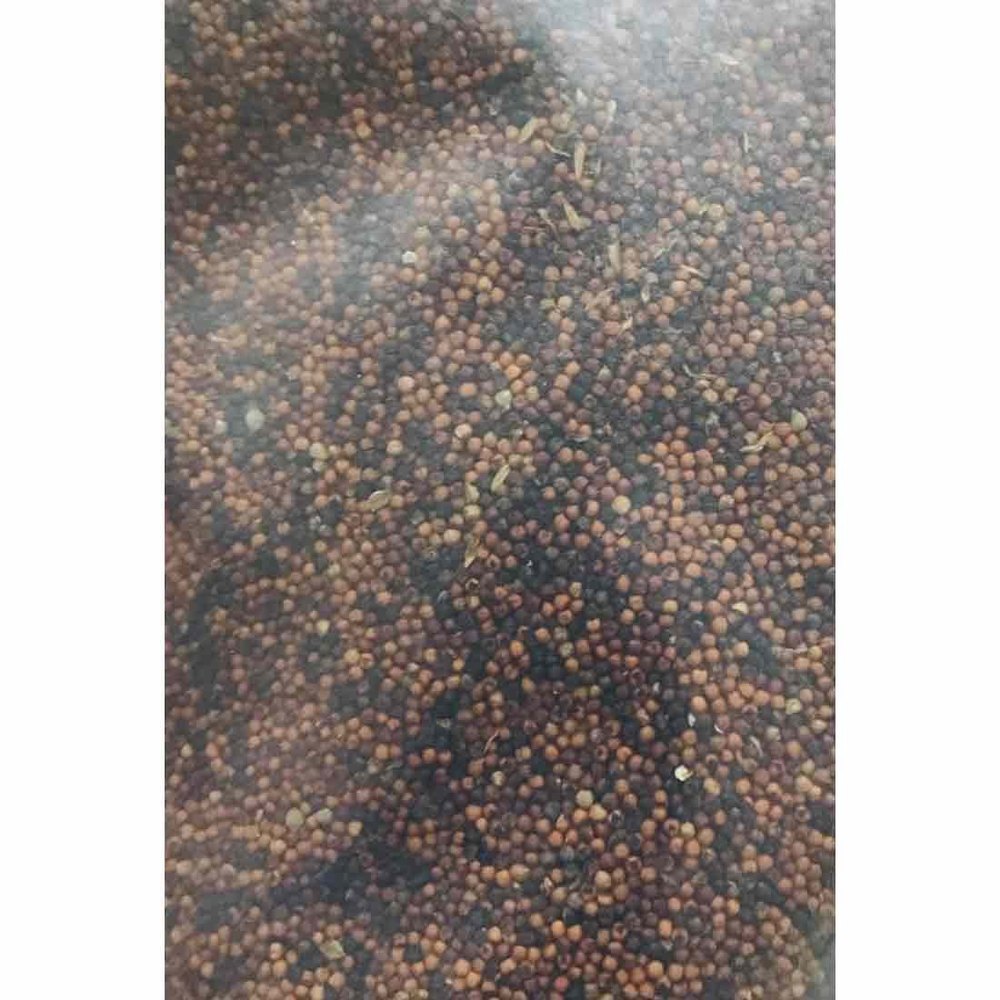 Seeds A Grade Organic Ragi, Packaging Size: 25 Kg, High in Protein