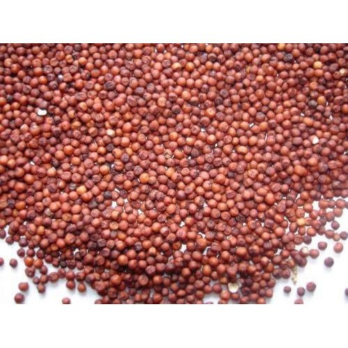 Organic Finger Millet/ Ragi Grain, Country Of Origin: India, Packaging Size: 500g