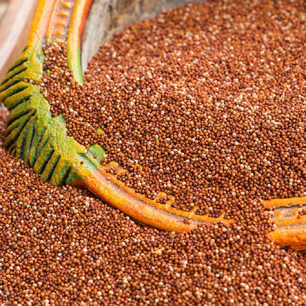 Seeds Organic Ragi Millet