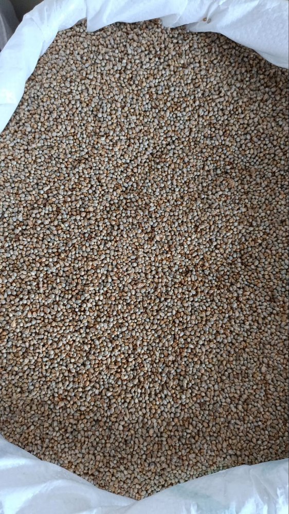 Natural Organic Bajra, 5%, Packaging Size: 30 Kg Or 50 Kg