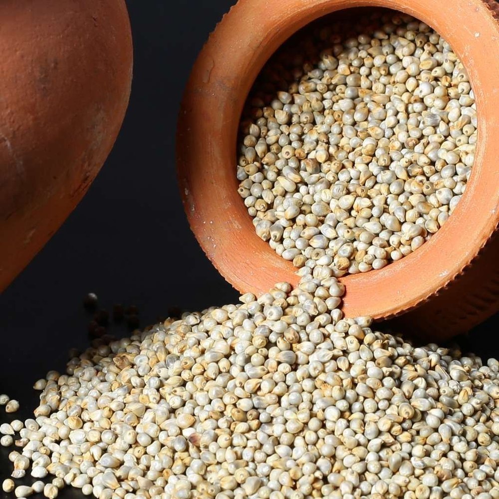 Brown Organic Pearl Millet, For Cooking