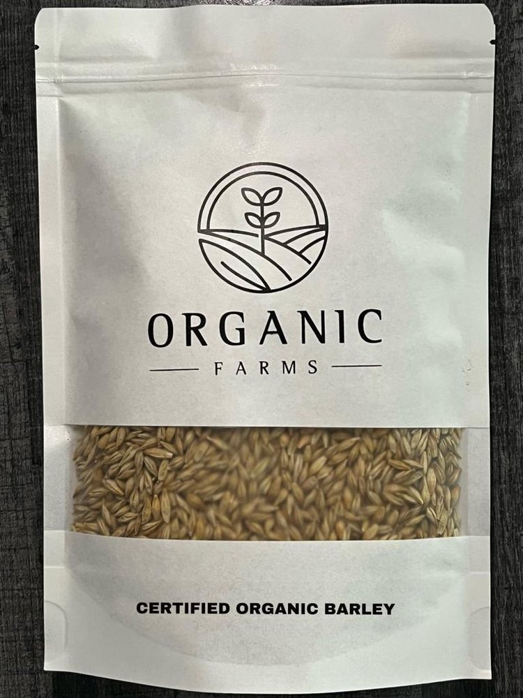 Indian Organic Barley Grain, Packaging Size: 1kg