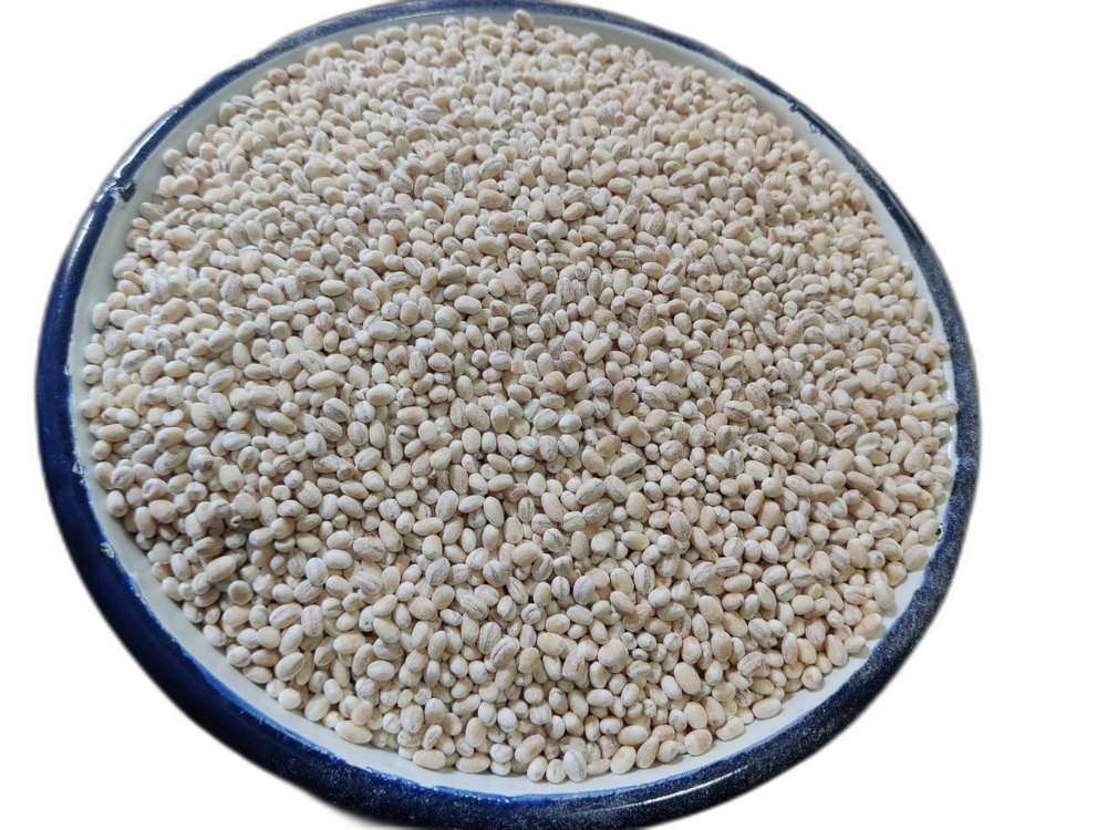 Indian Organic Barley Grain, For Food