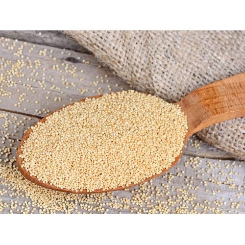 Indian Organic Amaranth Grain, Packaging Size: 500 Gram