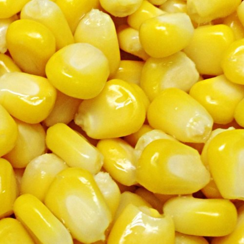 French Organic Sweet Corn, For Cooking