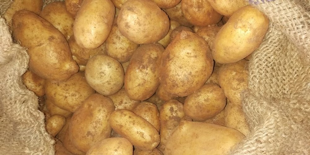 Brown Fresh A Grade Organic Potato