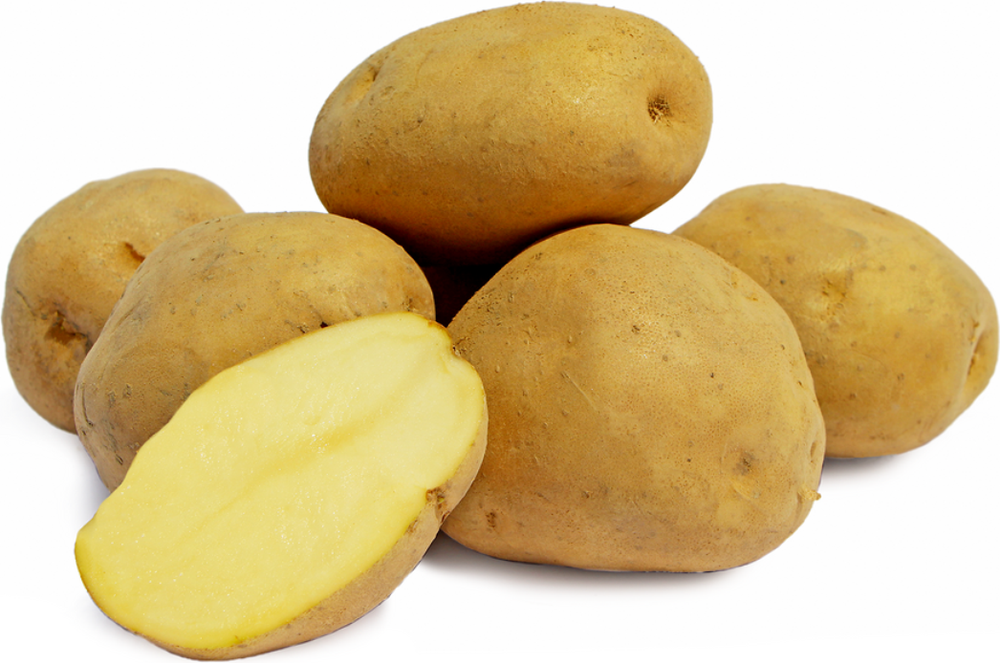 Organic Pukhraj Potato