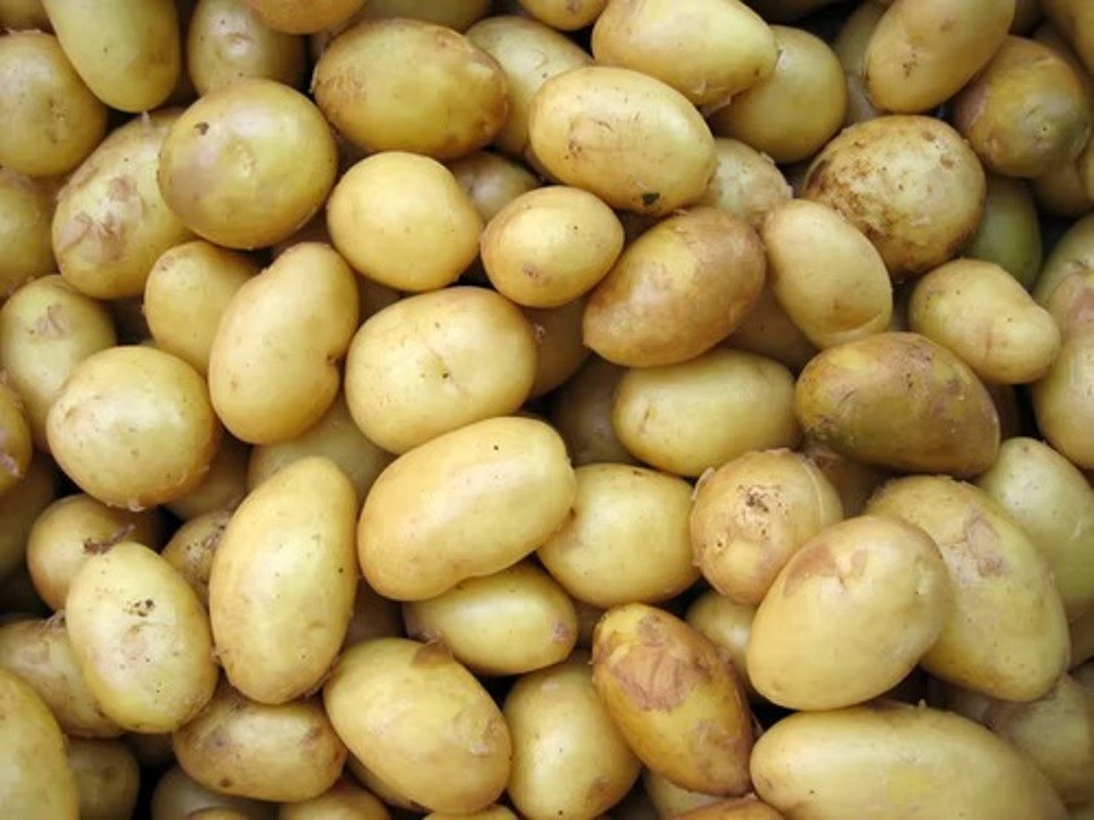 Fresh Organic Potato