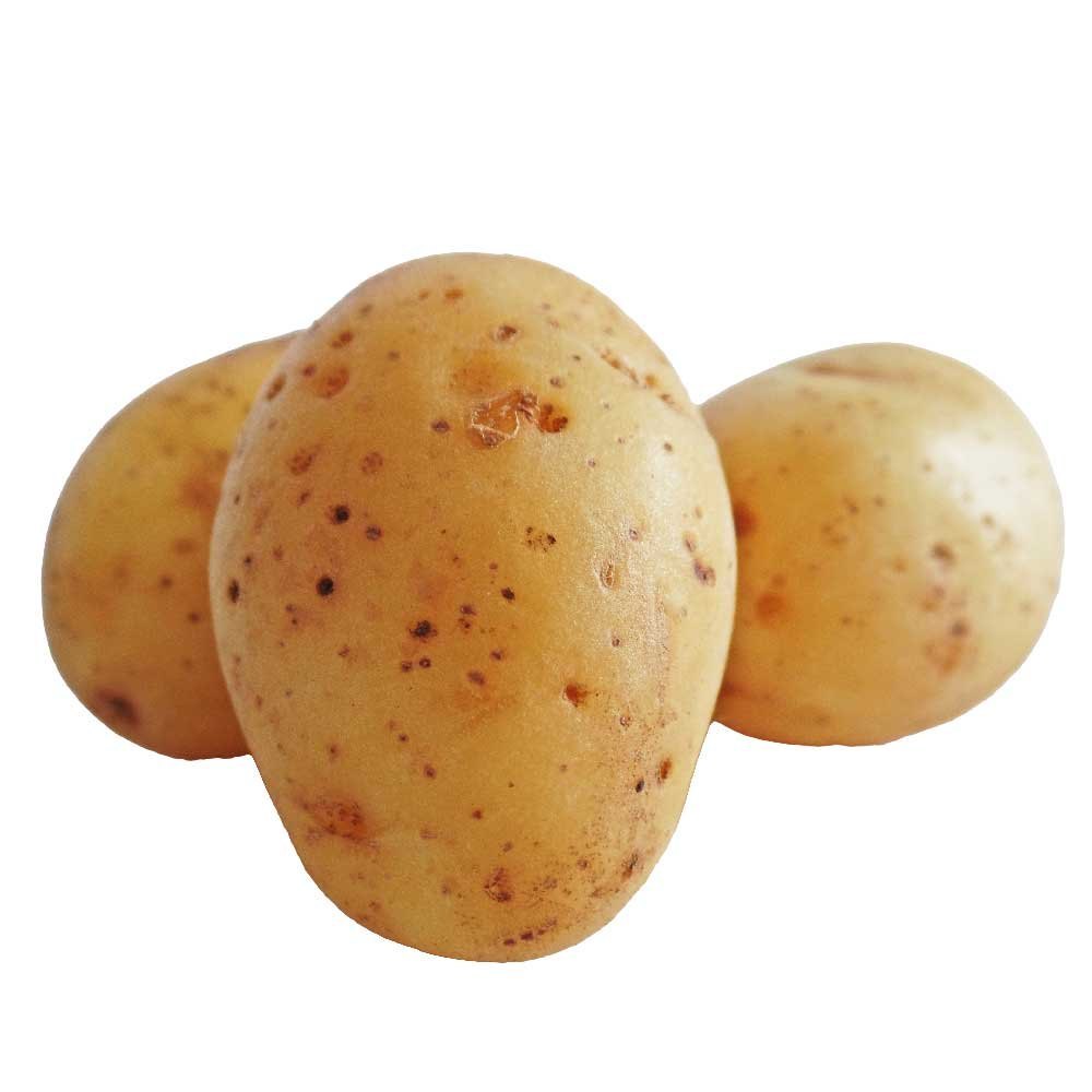 Brown Cold Storage B Grade Potato, Loose