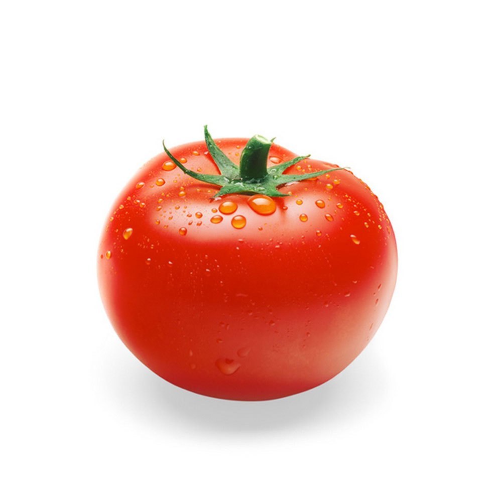 Indian B Grade Red Organic Fresh Tomato