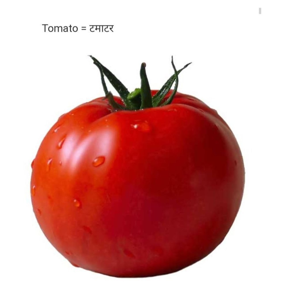 Oranic Fresh Red Tomato