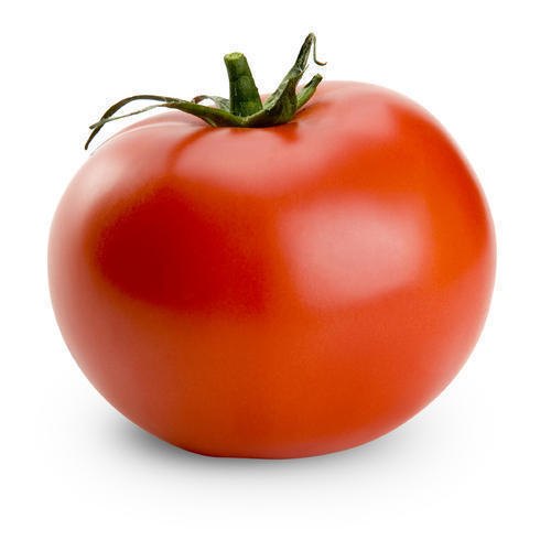 Organic Tomato