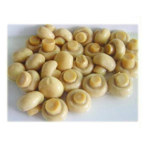 Organic Mushrooms, Packaging: Plastic Bag or Polythen, Pesticide Free (for Raw Products)