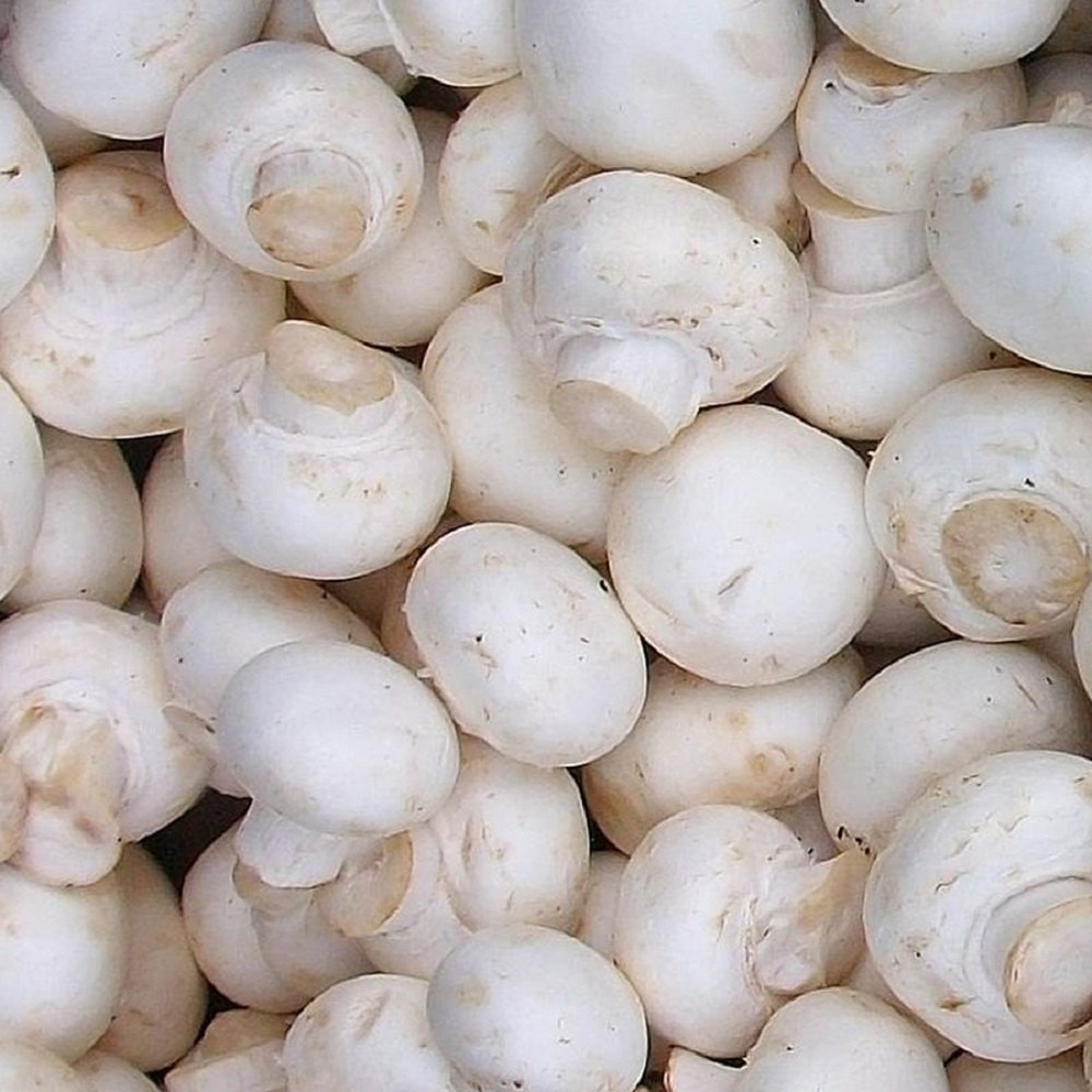 Organic Button Mushroom, Packaging Type: Loose, 3g