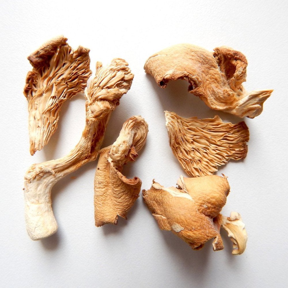 Dry Organic Mushroom