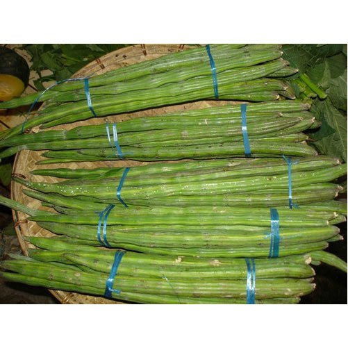 Organic Drumstick, Packaging Type: Poly Bag, No Artificial Flavour