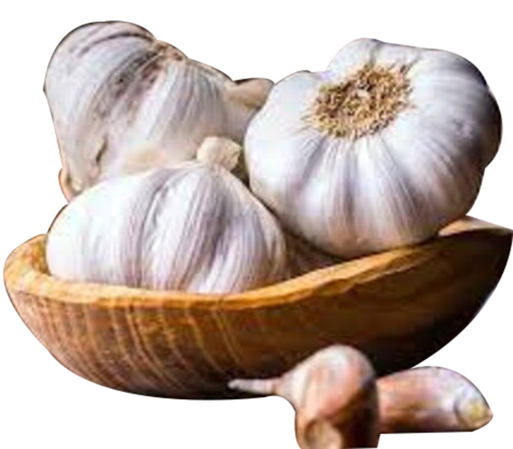 A Grade Natural Fresh White Garlic