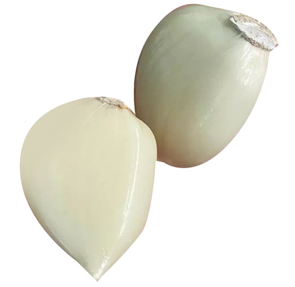 C Grade Fresh Elephant Garlic, Garlic Size: 45 mm