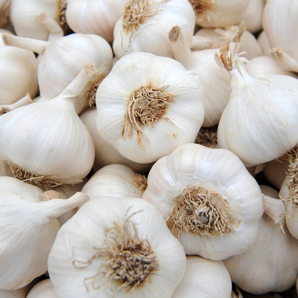 Pan India Garlic, Packaging Size: 50 kg