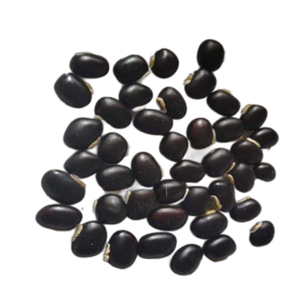 Black Dry Soybeans Organic Beans Seed, Packaging Type: Loose, Packaging Size: 25 Kg