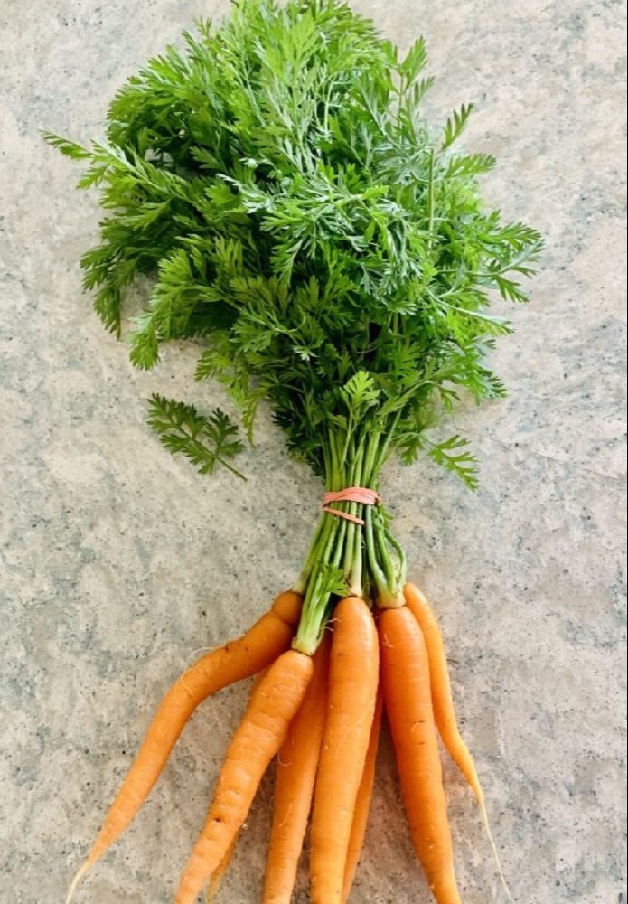 A Grade Fresh Baby Carrot, Packaging Type: Loose, 78 mg Per 100g