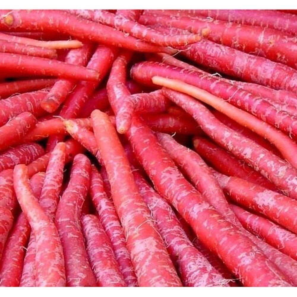 A Grade Organic Red Carrot, Packaging Type: Loose