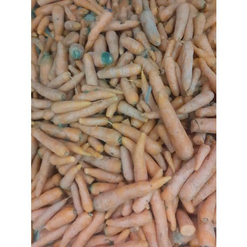 Tamil Nadu Organic Carrot, Packaging Size: 50 Kg