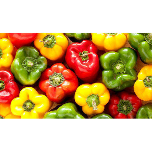 Organic Capsicum