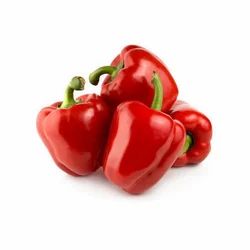 Red Organic Capsicum, Packaging: Plastic Bag