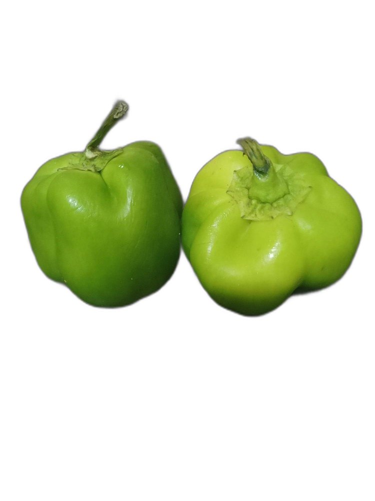 A Grade Organic Green Capsicum, For Cooking