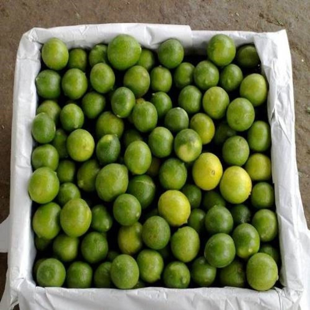 B Grade Tamil Nadu Organic Yellow Lemon