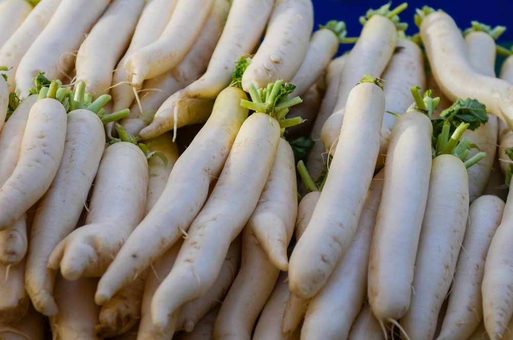 Organic Radish