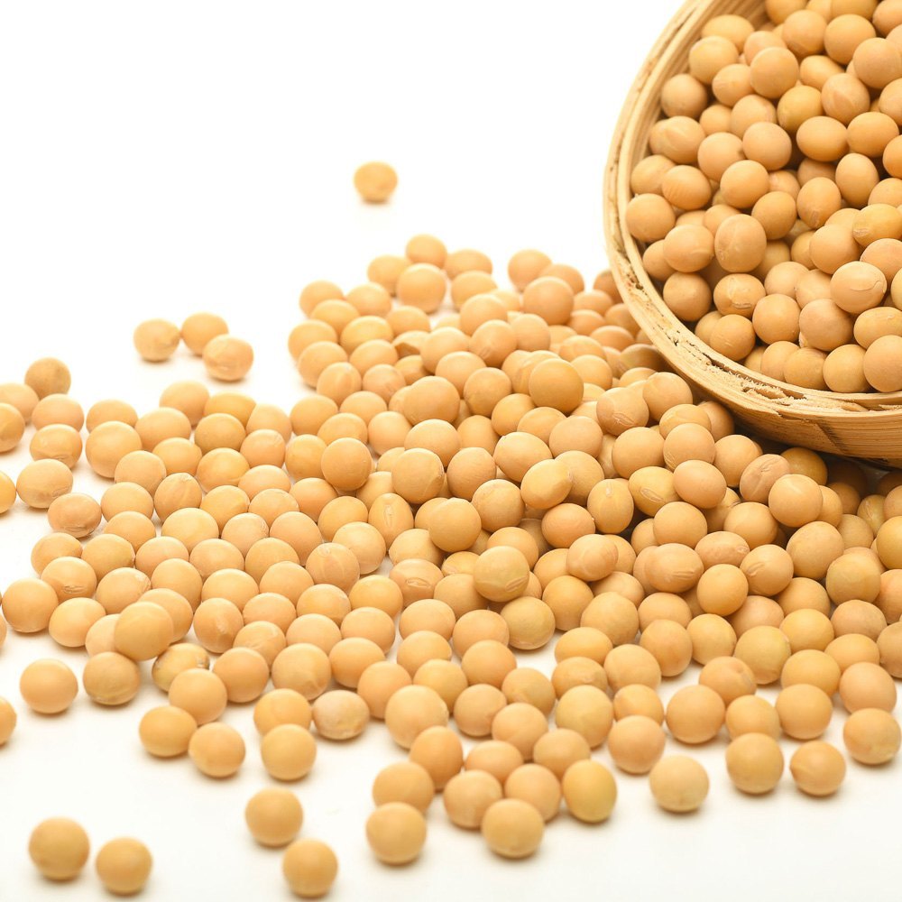 Beige Indian Organic Soybean, High in Protein