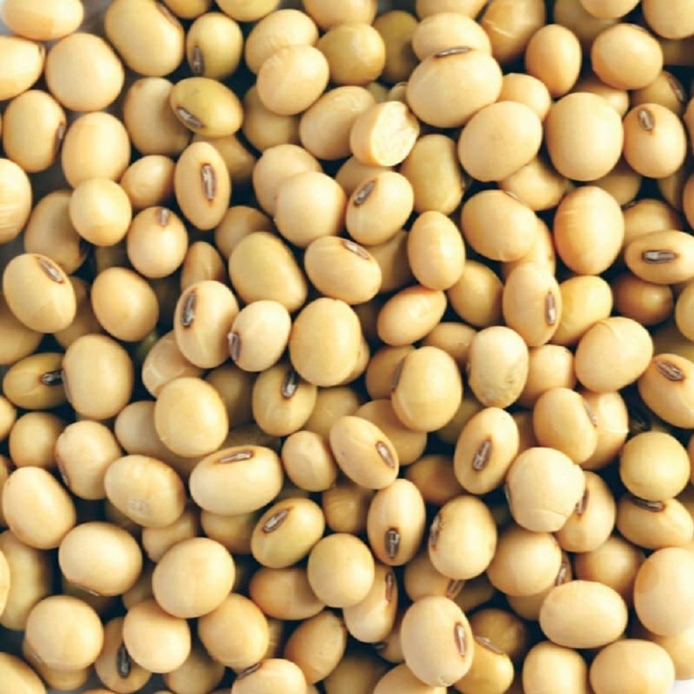 Indian Js 93 05 Organic Soyabean