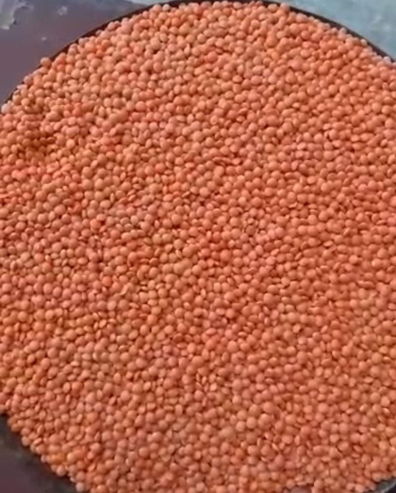 Red Masoor Dal, High in Protein, Packaging Size: Loose