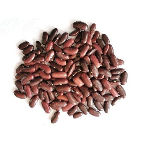 E5 Organics Organic Red Kidney Beans, Packaging Size: 1 kg, Packet