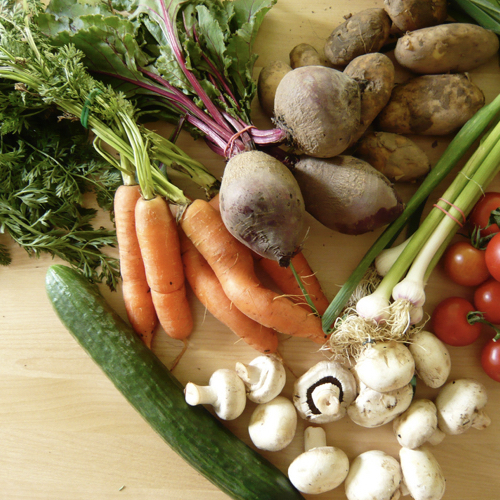 Organic Foods, Packaging: Plastic Bag