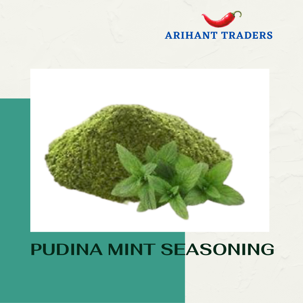 Pudina Spicy Treat Seasoning, For Fryums, Rings, Packaging Type: Pp Bag