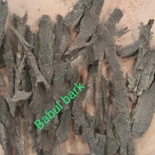 Babool Bark / Acacia Nilotica, Acacia Arabica, Packaging Type: Bags, Packaging Size: 40kg img