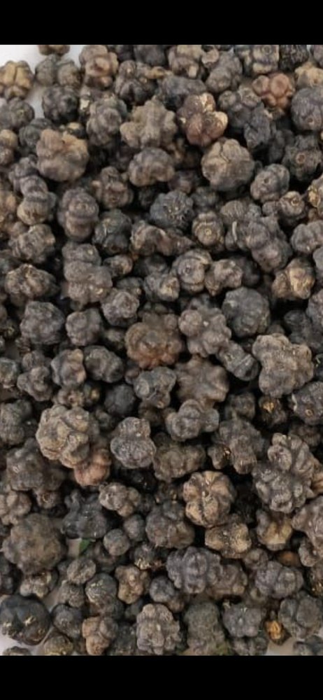 Morinda Citrifolia Black Organic Noni Fruit, Packaging Type: Loose, Granules img