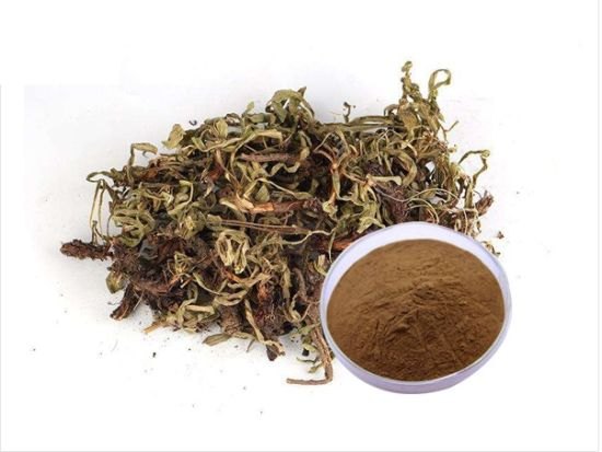 Organic Kreation Jatamansi Extract, Spikenard Muskroot img