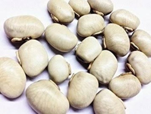 White Kaunch Beej (Mucuna Pruriens), Packaging Type: Bag, Packaging Size: 60 Kg img