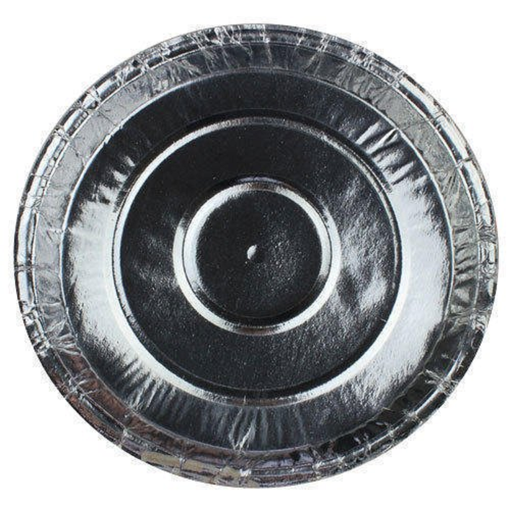 13 Inch Disposable Silver Thali