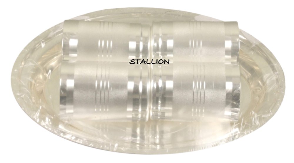 Stallion Polished Silver Plated Glass & Tray Set