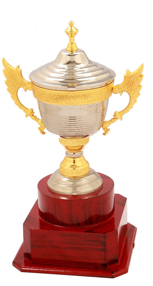 Golden & Silver Brass Silver Cup with Handle Trophy