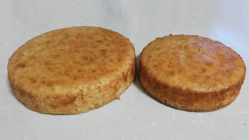 Uniced Vanilla Sponge, For Bakery, Packaging Size: 500 Gm