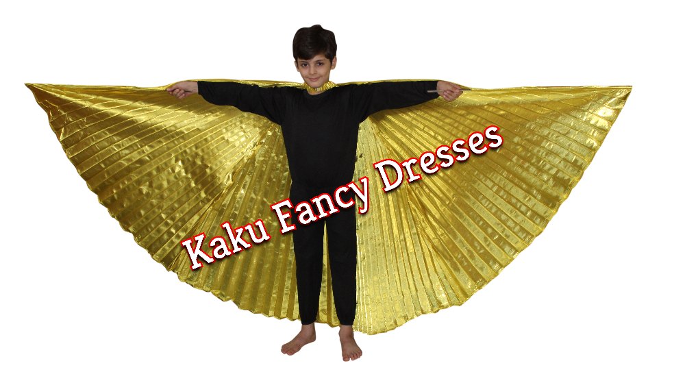 Dance Wing Golden Colour