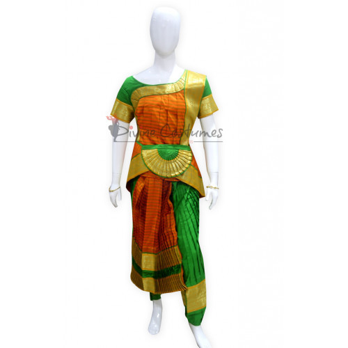 Bharatanatyam Costumes